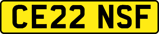 CE22NSF
