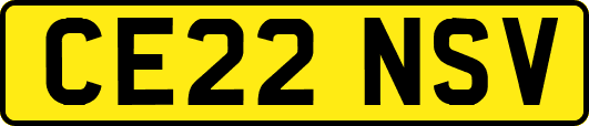 CE22NSV