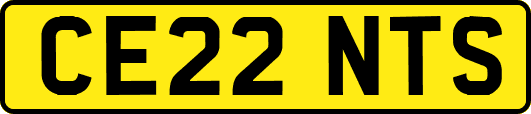 CE22NTS