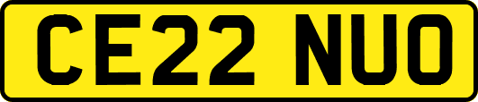 CE22NUO