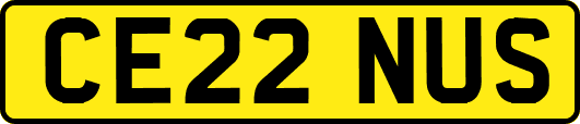 CE22NUS