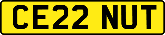 CE22NUT