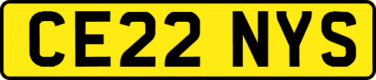 CE22NYS