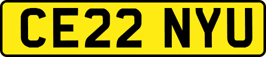 CE22NYU