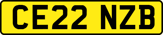 CE22NZB