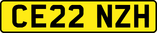 CE22NZH