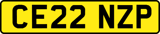 CE22NZP