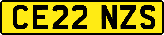 CE22NZS