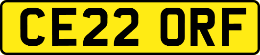 CE22ORF