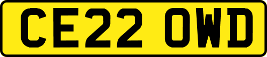 CE22OWD