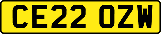 CE22OZW