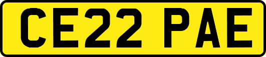 CE22PAE