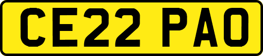 CE22PAO