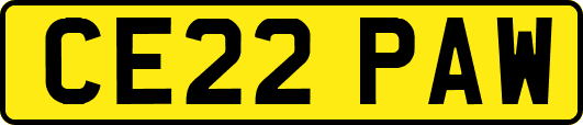 CE22PAW