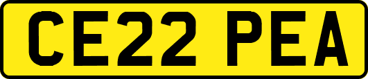 CE22PEA