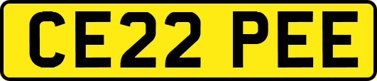 CE22PEE