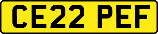 CE22PEF