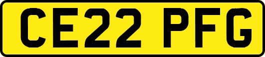 CE22PFG