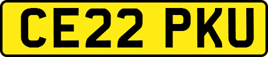 CE22PKU