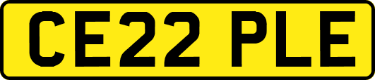 CE22PLE