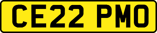 CE22PMO