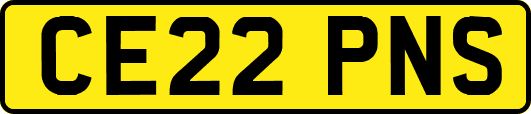 CE22PNS