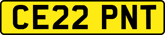 CE22PNT