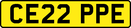 CE22PPE