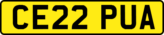 CE22PUA