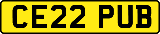 CE22PUB