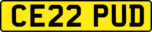 CE22PUD