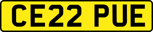 CE22PUE
