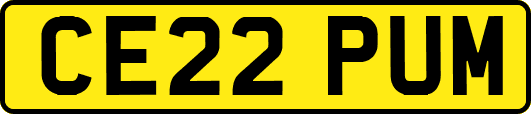 CE22PUM