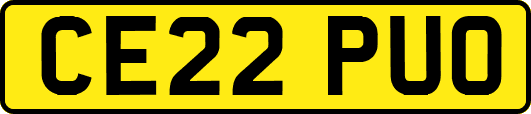 CE22PUO