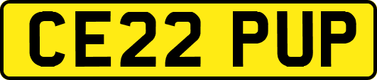 CE22PUP