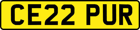 CE22PUR