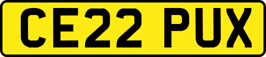 CE22PUX
