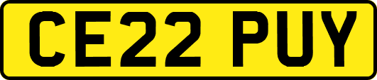 CE22PUY