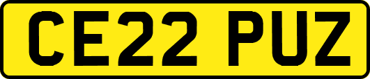 CE22PUZ