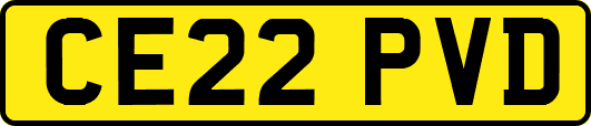 CE22PVD