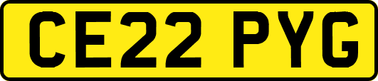 CE22PYG