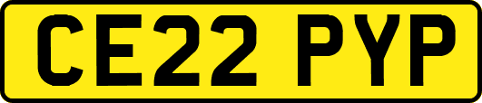 CE22PYP