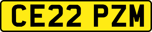 CE22PZM