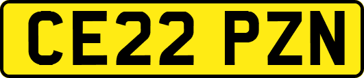 CE22PZN