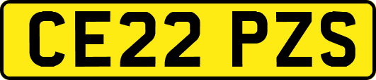 CE22PZS