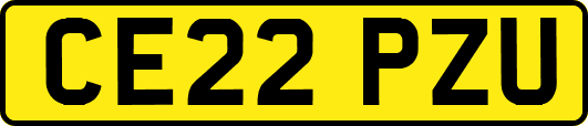 CE22PZU