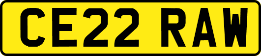CE22RAW