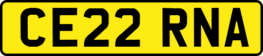 CE22RNA