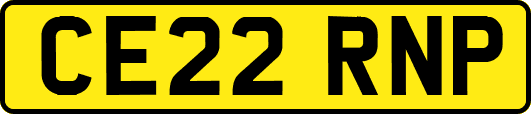 CE22RNP
