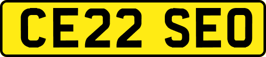 CE22SEO